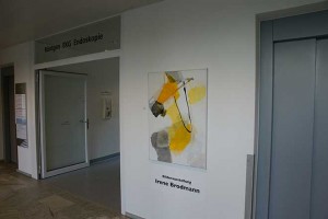 Ausstellung-Barmelweid,-2013-(32)