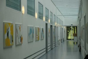 Ausstellung_Barmelweid_2013-(13)