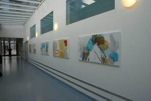 Ausstellung_Barmelweid_2013-(22)