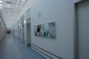 Ausstellung_Barmelweid_2013-(6)