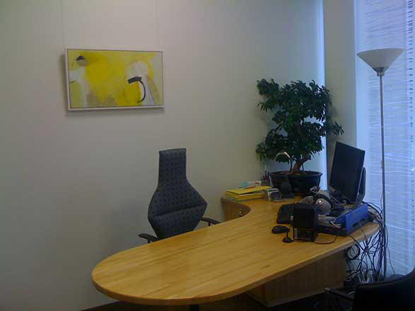 Hoerberatung_Borer_Therwil_2012_1