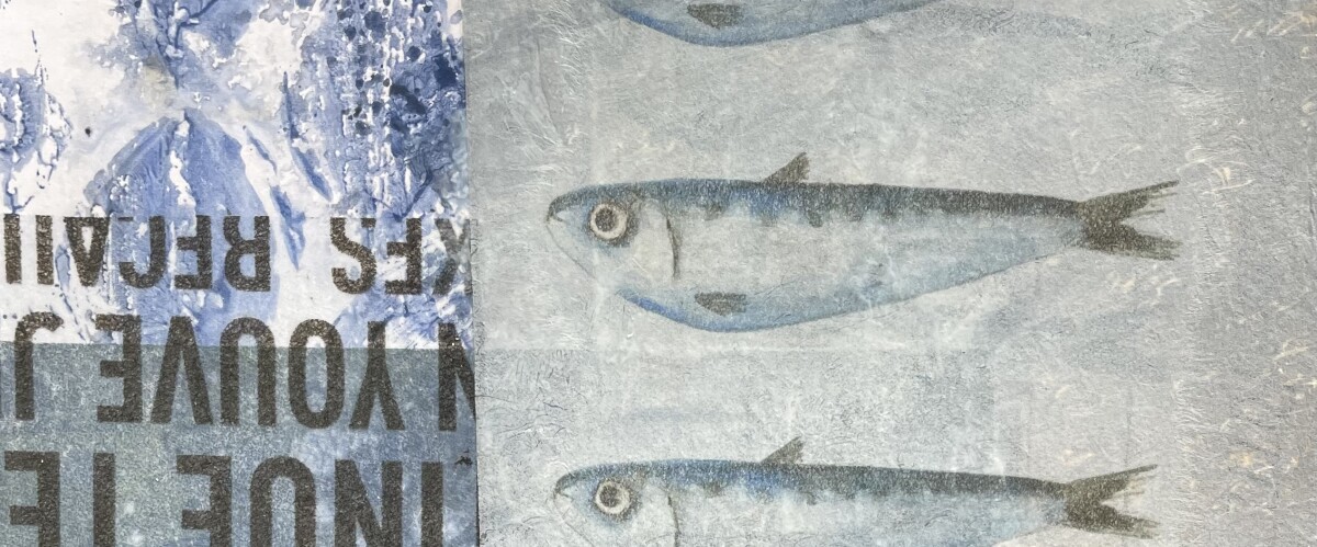 cropped-Collage-Nr.-61.jpg